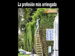 La profesión más arriesgada 