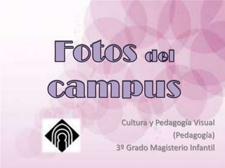 Cultura y Pedagogía Visual
               (Pedagogía)
3º Grado Magisterio Infantil
 