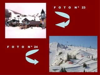 F  O  T  O  N º  23 F  O  T  O  N º  24  
