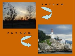 F  O  T  O  Nº  25 F  O  T  O  Nº  26 
