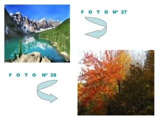 F  O  T  O  Nº  27 F  O  T  O  Nº  28 