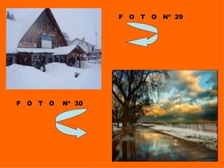 F  O  T  O  Nº  29 F  O  T  O  Nº  30 