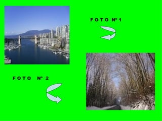 F O T O  Nº 1 F O T O  Nº  2 