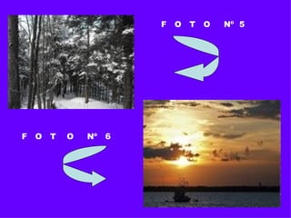 F  O  T  O  Nº  5 F  O  T  O  Nº  6 