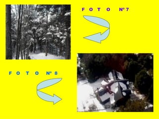 F  O  T  O  Nº 7 F  O  T  O  Nº  8 