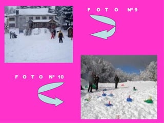 F  O  T  O  Nº 9 F  O  T  O  Nº  10 