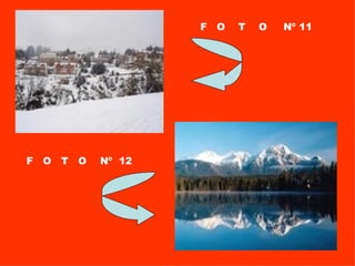 F  O  T  O  Nº 11 F  O  T  O   Nº  12 