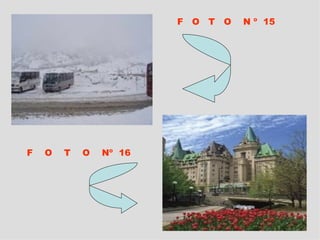F  O  T  O  N º  15 F  O  T  O  Nº  16 