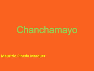 Chanchamayo

Maurizio Pineda Marquez
 