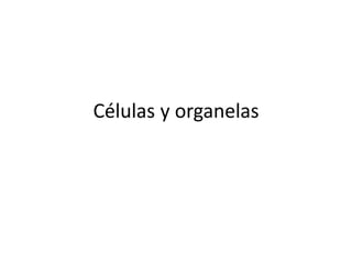 Células y organelas
 