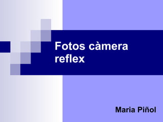 Fotos càmera reflex Maria Piñol 