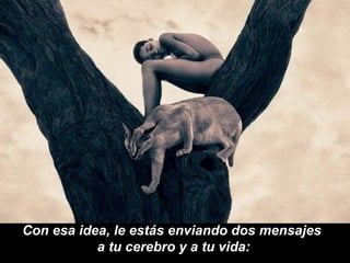 Con esa idea, le estás enviando dos mensajes
           a tu cerebro y a tu vida:
 