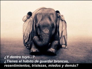 ¿Y dentro tuyo...?
¿Tienes el hábito de guardar broncas,
resentimientos, tristezas, miedos y demás?
 