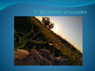 Fotos concurso 18 19