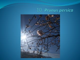 Fotos concurso 18 19