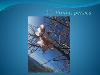 Fotos concurso 18 19