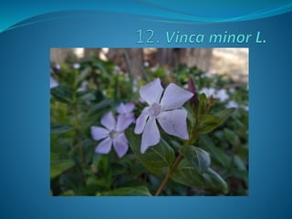 Fotos concurso 18 19