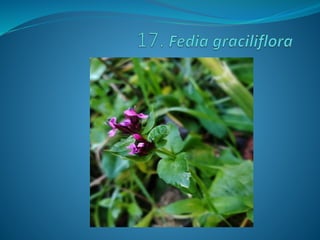 Fotos concurso 18 19