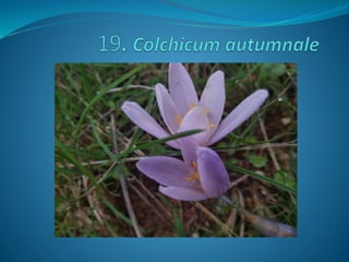 Fotos concurso 18 19