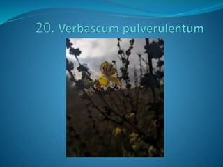 Fotos concurso 18 19