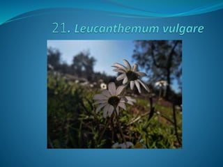 Fotos concurso 18 19