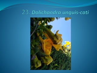 Fotos concurso 18 19