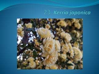 Fotos concurso 18 19