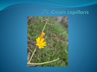 Fotos concurso 18 19