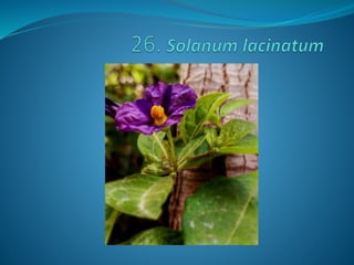 Fotos concurso 18 19