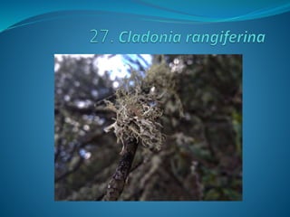 Fotos concurso 18 19