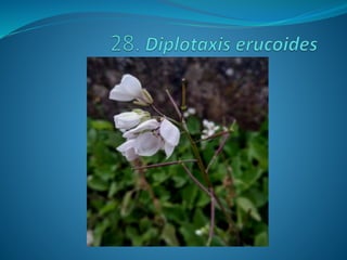 Fotos concurso 18 19