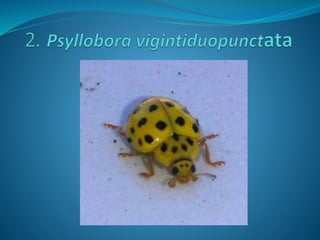 Fotos concurso 18 19