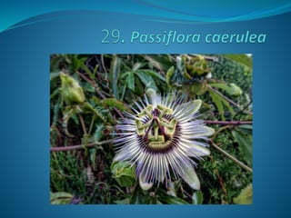 Fotos concurso 18 19