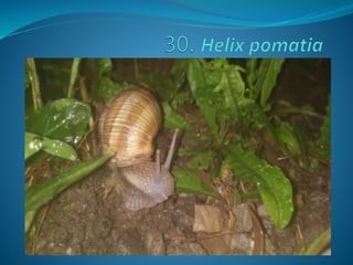 Fotos concurso 18 19