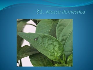 Fotos concurso 18 19