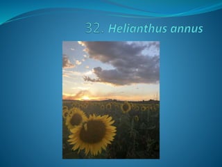 Fotos concurso 18 19