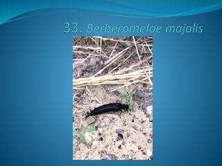 Fotos concurso 18 19