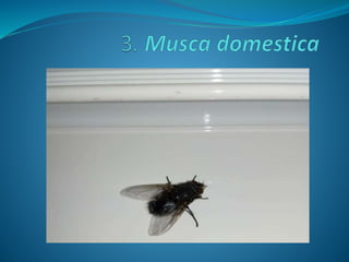 Fotos concurso 18 19