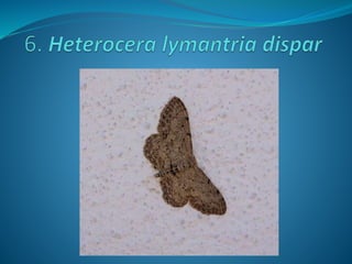 Fotos concurso 18 19