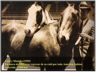 Gato y Mancha (1929)
En enero de 1929 tras regresar de su raid por toda America, habian
recorrido 22500 km
 