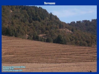 TerrazasZimapantongo, Chapantongo, HidalgoSuperficie:  15  HaInversión (miles de Pesos):  41.0