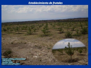 Establecimiento de frutalesEl Gavillero, Huichapan, El Arenal, Hidalgo2,250 manzanosSuperficie: 15.0 HaInversión (miles de Pesos): 90.0