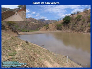 Bordo de abrevaderoLas juntas, Olinala, GuerreroCapacidad de almacenamiento: 20,000   m3Inversión (miles de Pesos): 391.0
