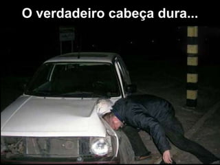 O verdadeiro cabeça dura...