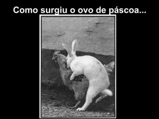 Como surgiu o ovo de páscoa...