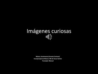 Imágenes curiosas
Música: Sentiments (Ernesto Cortazar)
Incorporação de Música: MS de Sousa Santos
Transição: Manual
 
