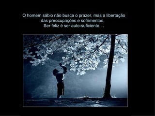 O homem sábio não busca o prazer, mas a libertação
       das preocupações e sofrimentos.
        Ser feliz é ser auto-suficiente.. .
 