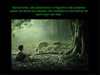 Somos livres, não pertencemos a ninguém e não podemos
querer ser donos dos desejos, das vontades ou dos sonhos de
                     quem quer que seja.
 