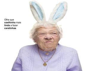 Olha que  coelhinha  mais  linda  a fazer  caretinhas 