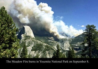 The Meadow Fire burns in Yosemite National Park on September 8. 
 